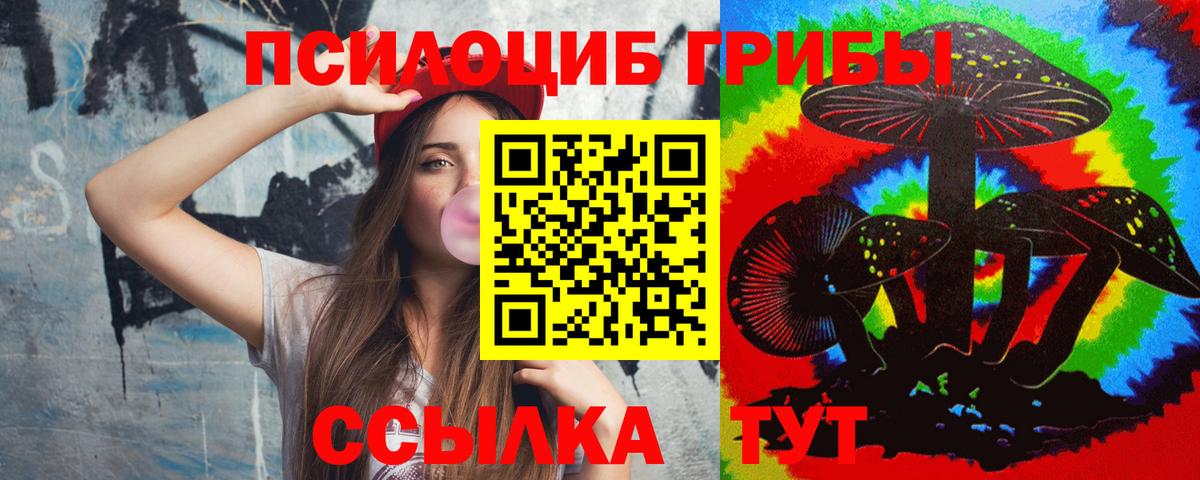 Псилоцибиновые грибы Psilocybine cubensis  Вход с VPN  Нерюнгри  Псилоцибиновые грибы MAGIC MUSHROOMS 